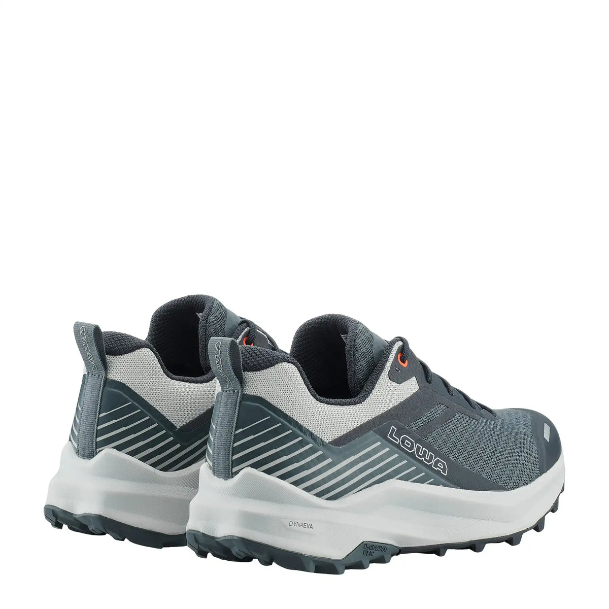 FLOWTERRA GTX - NAVY/GREY
