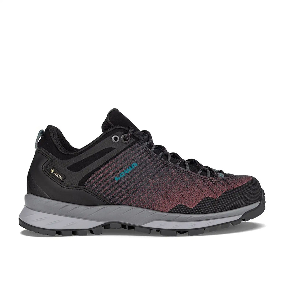 CAREZZA GTX LO WS - BLACK/BROWN ROSE Main image